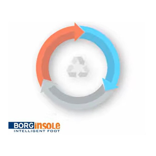 BORGinsole ECO insole NL