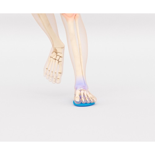 BORGinsole STG Animation