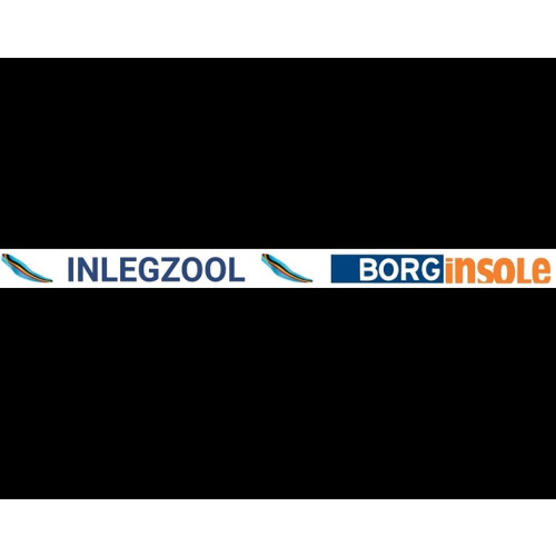 BORGinsole Boarding Voetbalveld